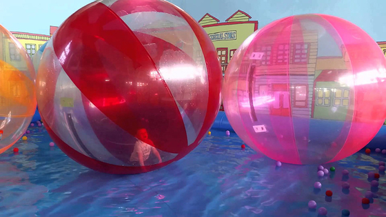China Bola que camina de agua del agua inflable rosada grande de la piscina para los adultos/la bola de balanceo del agua proveedor
