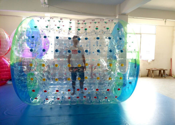 China El rodillo inflable del agua del PVC del gigante 0.8m m para los niños/los adultos riega el rodillo de la bola que camina proveedor