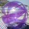 Bola inflable del hámster de las bolas del agua de los juegos de los deportes de la playa que camina para los seres humanos proveedor