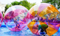 Bola que camina de agua del agua inflable rosada grande de la piscina para los adultos/la bola de balanceo del agua proveedor