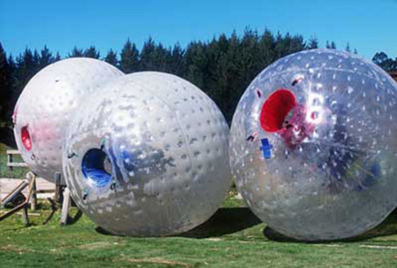 La calidad comercial fuera de seres humanos clasificó la bola inflable de Zorb para los juegos de equipo proveedor
